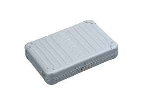 Large Personal Cross Body Case - Platinum